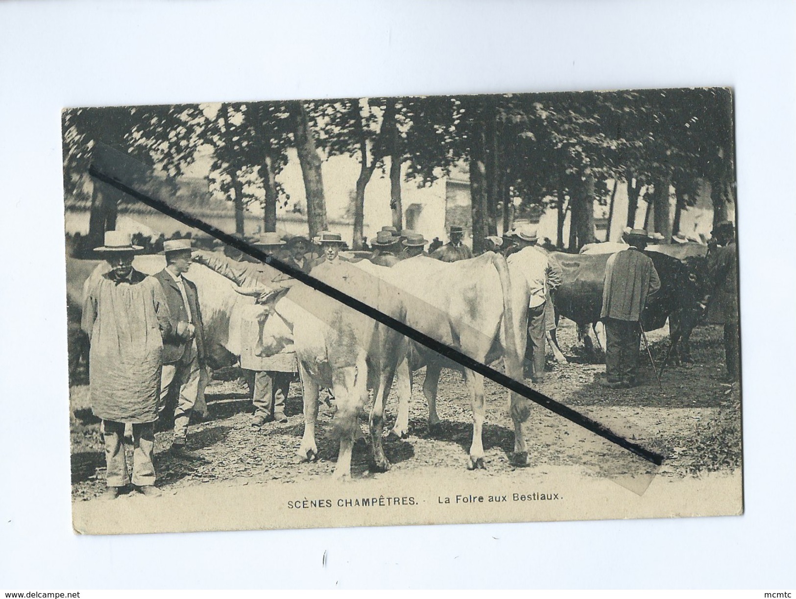 CPA - Scènes Champêtres - La Foire Aux Bestiaux - Viehzucht