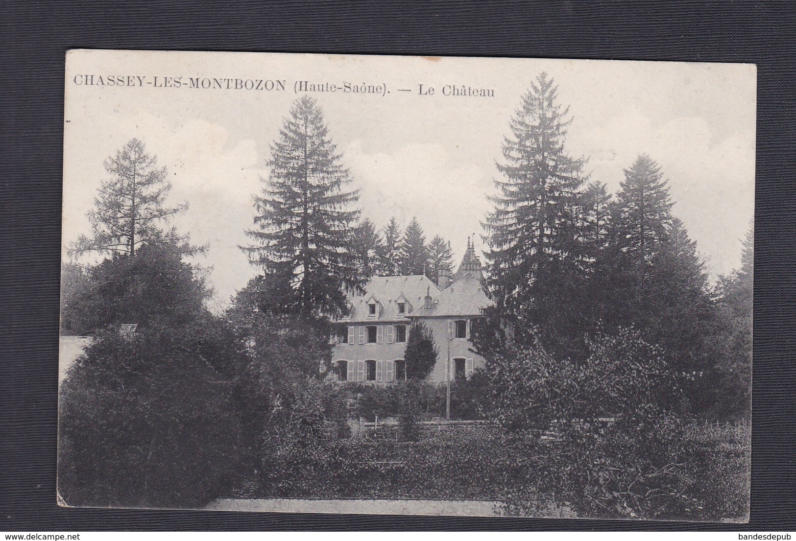 Chassey Les Montbozon (70) Le Chateau ( éditeur ?) - Autres & Non Classés