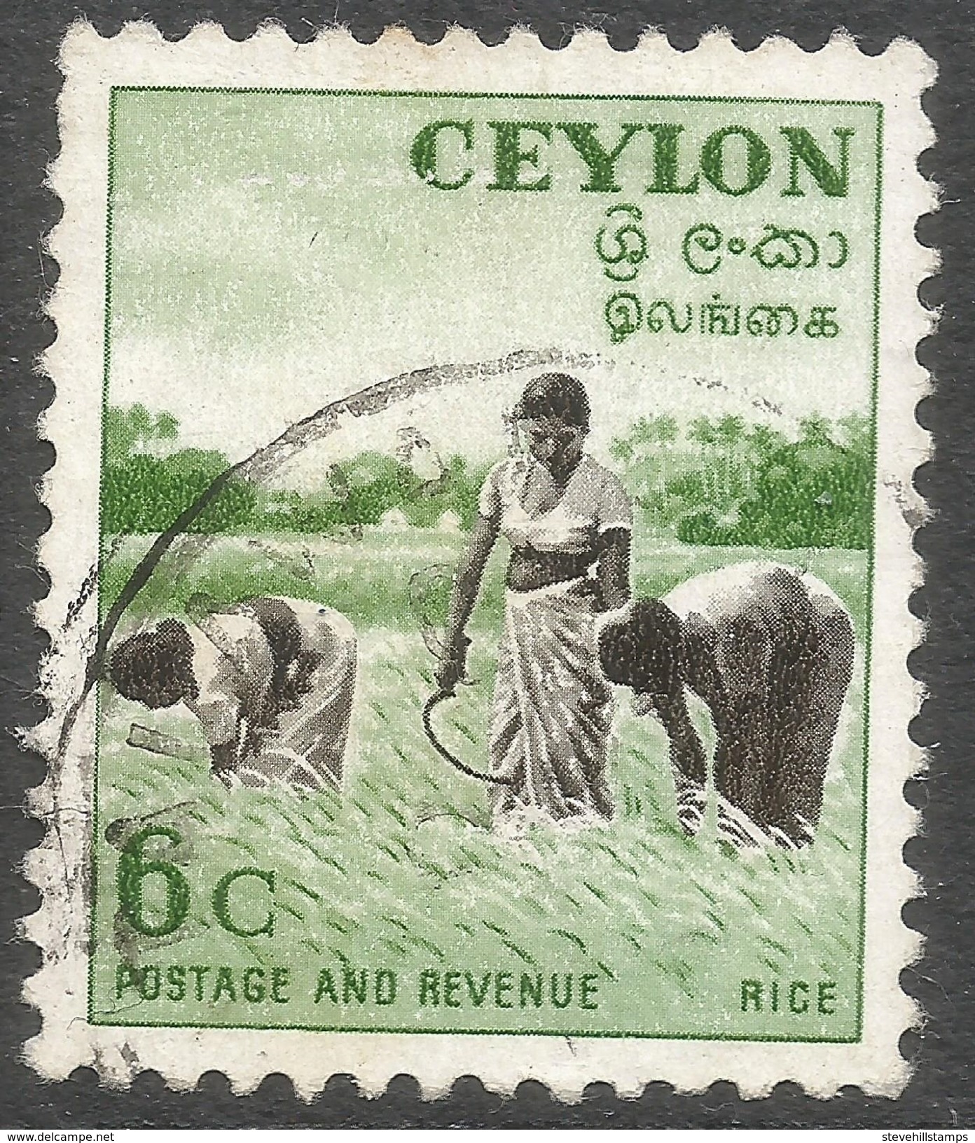 Ceylon. 1951-54 Definitives, 6c Used. SG 421 - Sri Lanka (Ceylon) (1948-...)