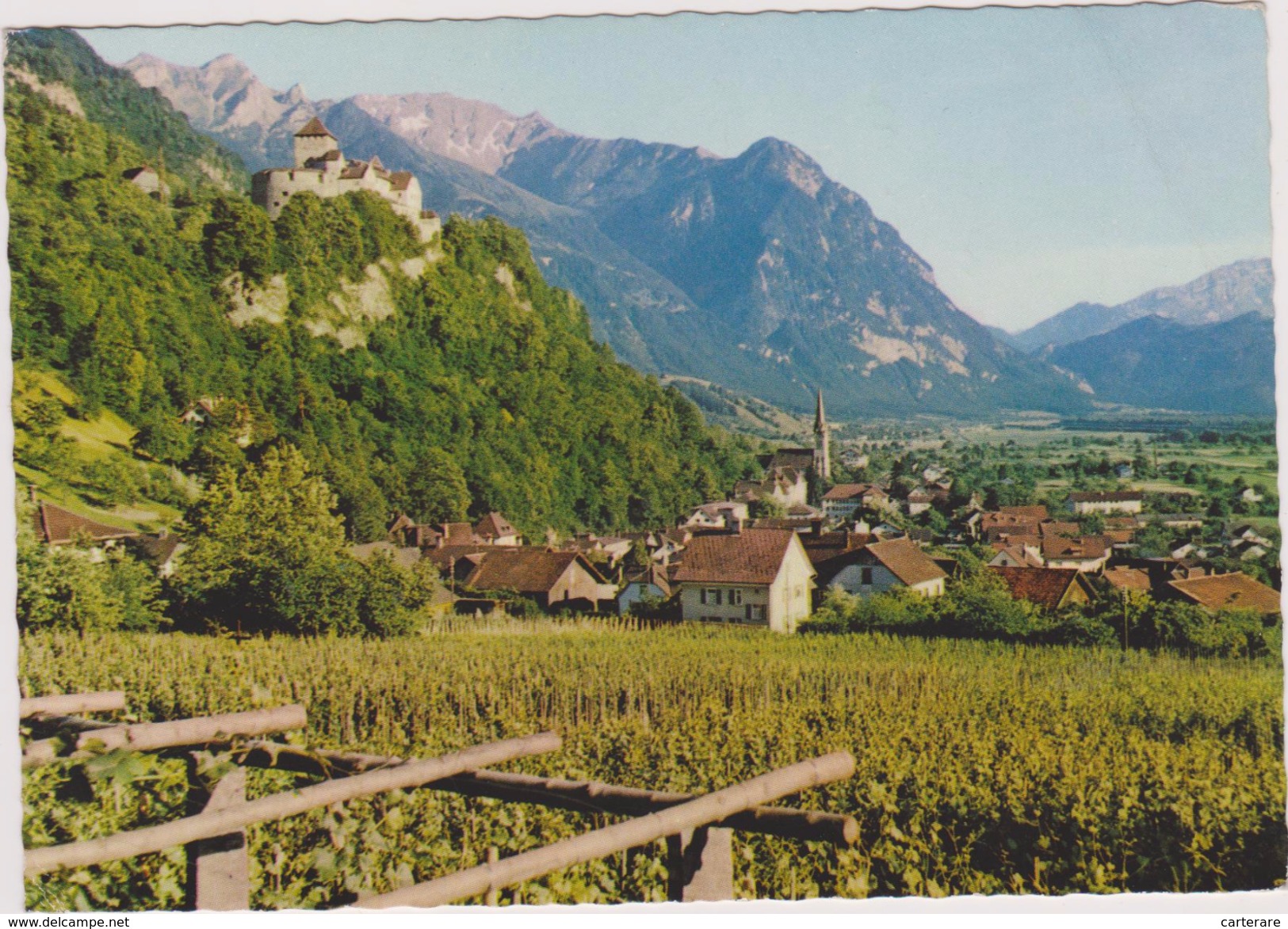 LIECHTENSTEIN,OBERLAND,VADUZ,terre Agricole - Liechtenstein