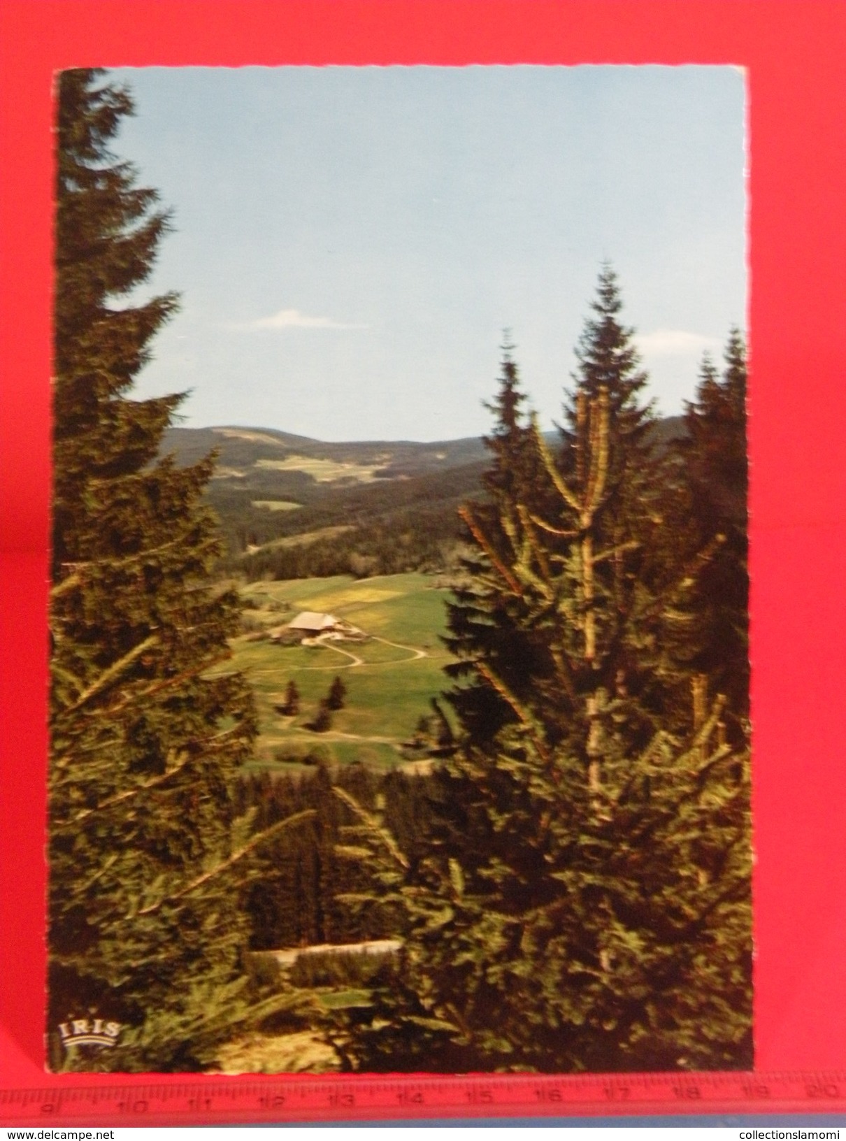 Cartes Postales >  Allemagne > Bade-Wurtemberg > Vue Sur La Ferme De La Forêt Noire Schwarzwald - Non Circulé - Autres & Non Classés