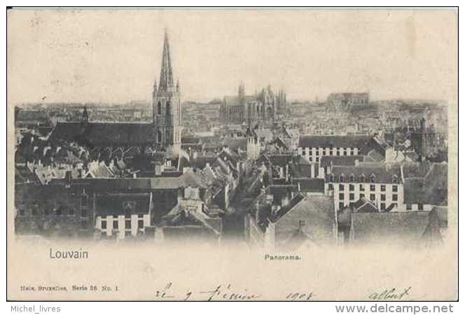 Leuven - Louvain - Panorama - Circulé En 1908 - Dos Non Séparé - TBE - Leuven