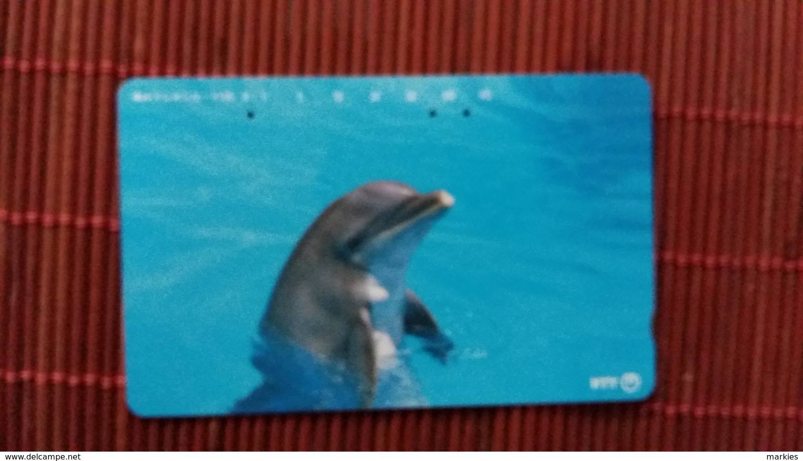 Dolphin Phonecard - Delfines