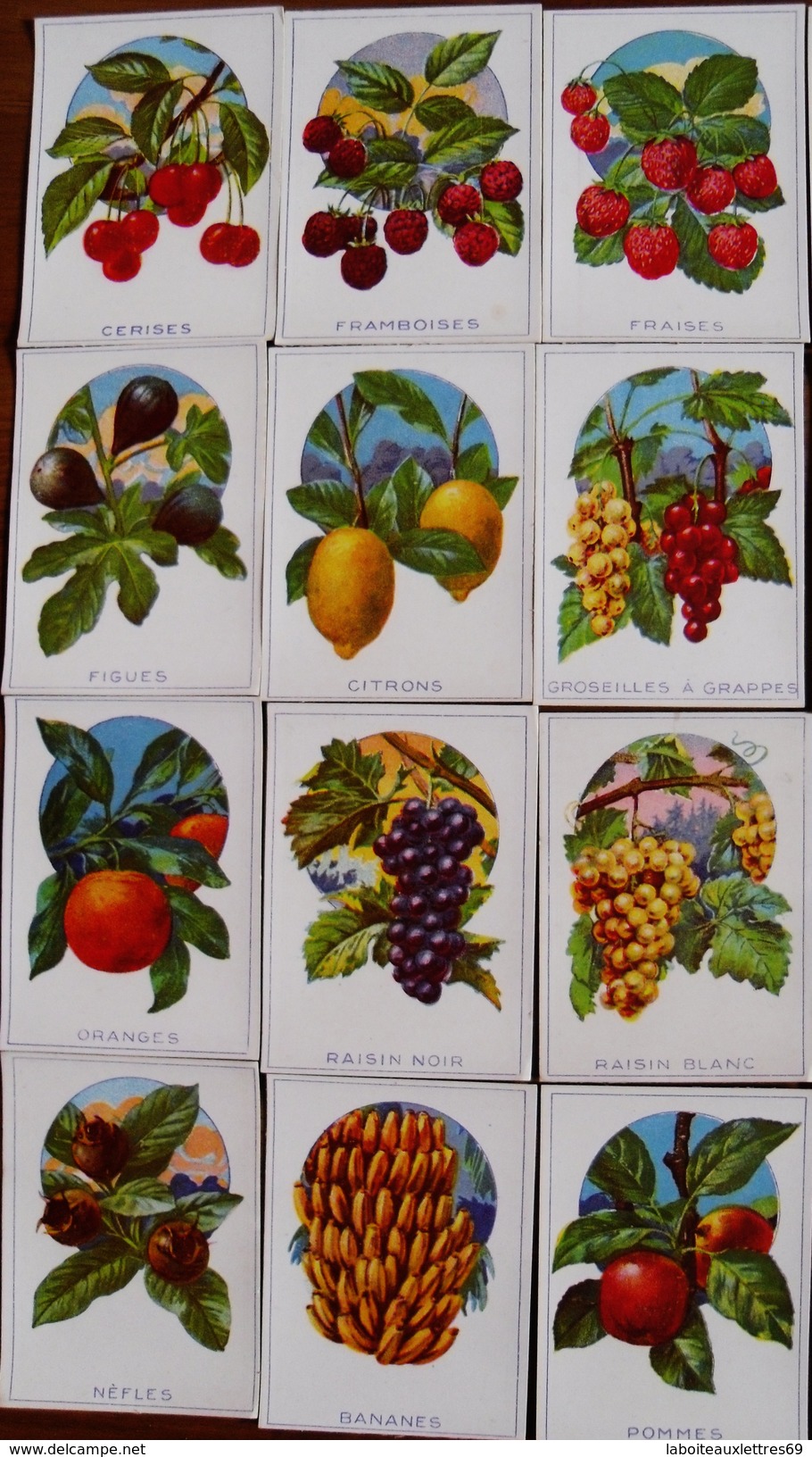 LOT 25 BON-POINTS FRUITS - LIBRAIRIE D'EDUCATION NATIONALE - PARIS - Collections