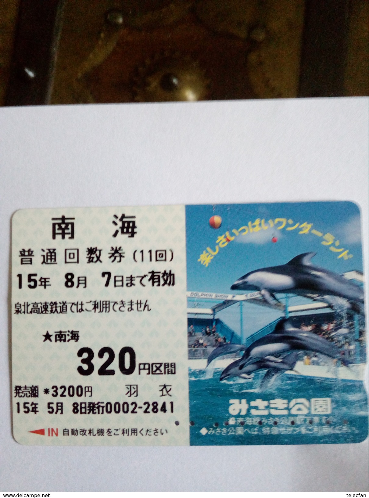 JAPON JAPAN  DAUPHIN DELFIN DOLFIN  SUPERBE - Dolfijnen