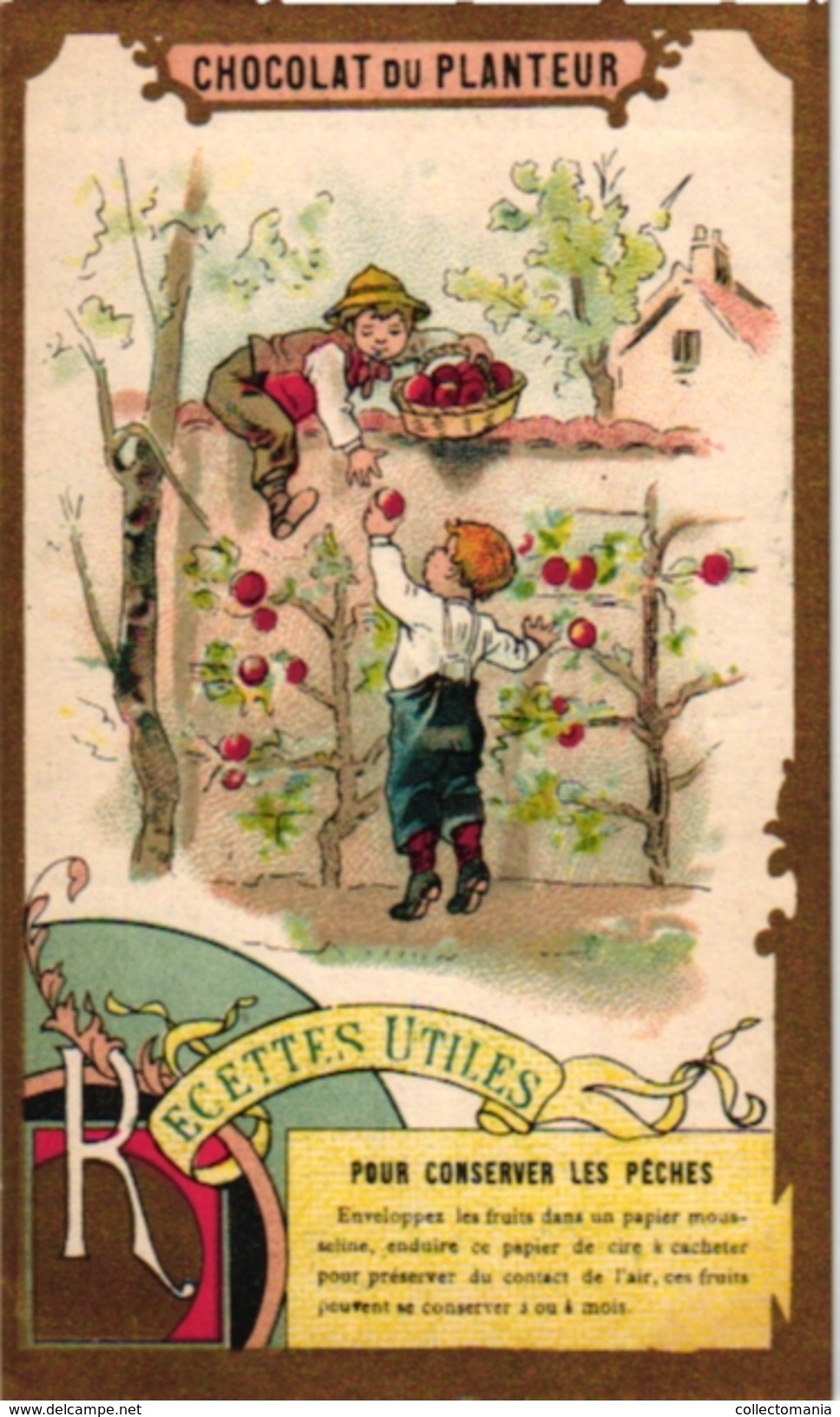 21 Cards C1900 Pub Chocolat du Planteur Recettes Utiles Moyen de... Imp de la Compagnie Coloniale