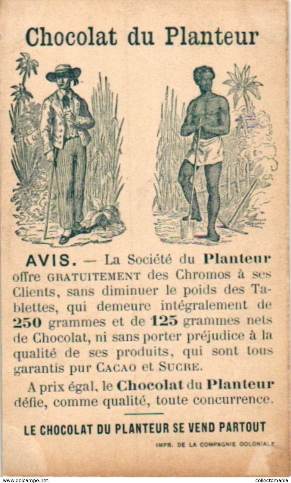 21 Cards C1900 Pub Chocolat du Planteur Recettes Utiles Moyen de... Imp de la Compagnie Coloniale