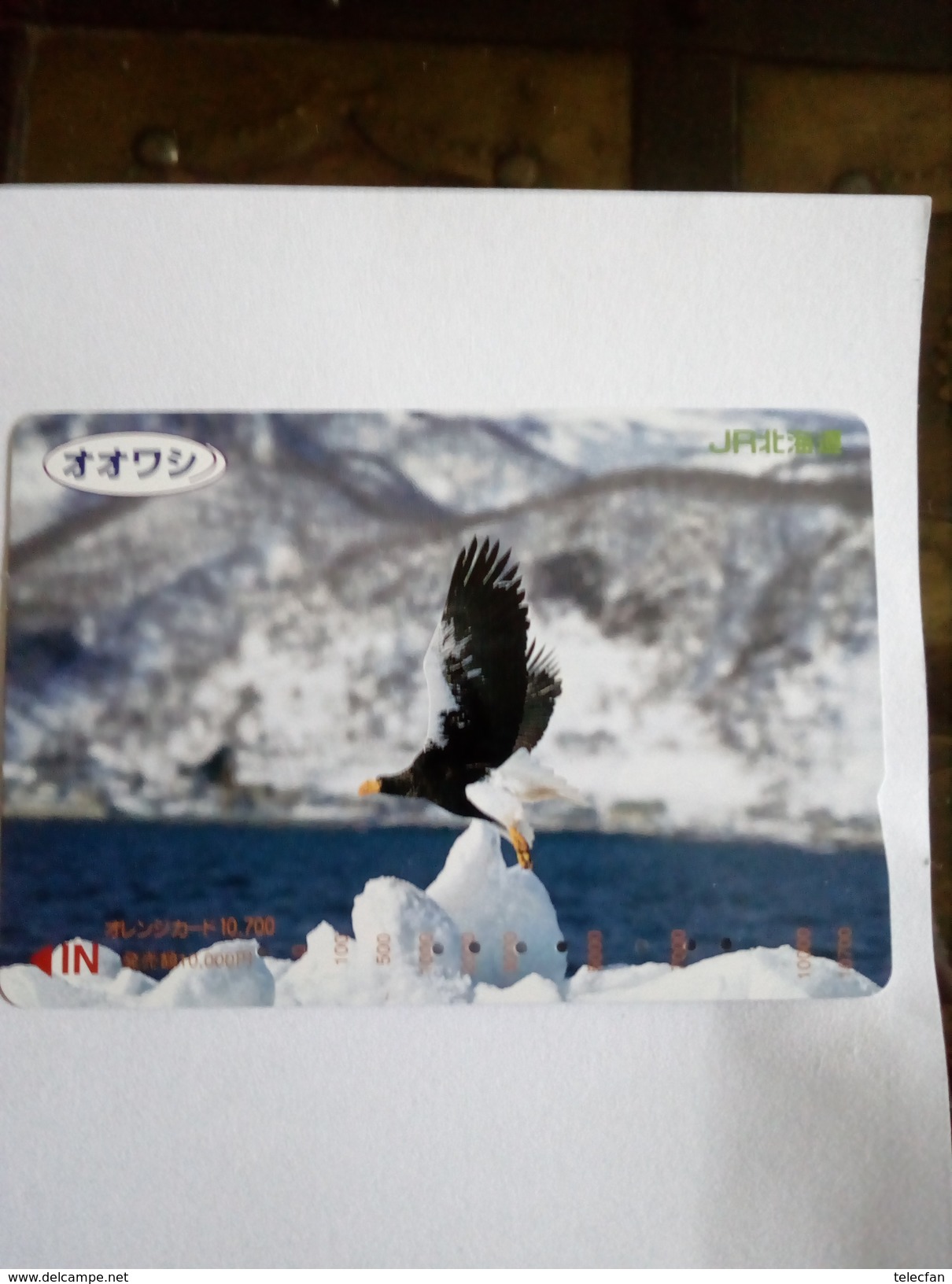 JAPON JAPAN  AIGLE EAGLE   SUPERBE - Arenden & Roofvogels