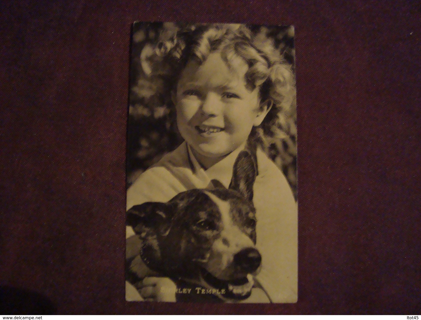 Photo De SHIRLEY TEMPLE - Other & Unclassified