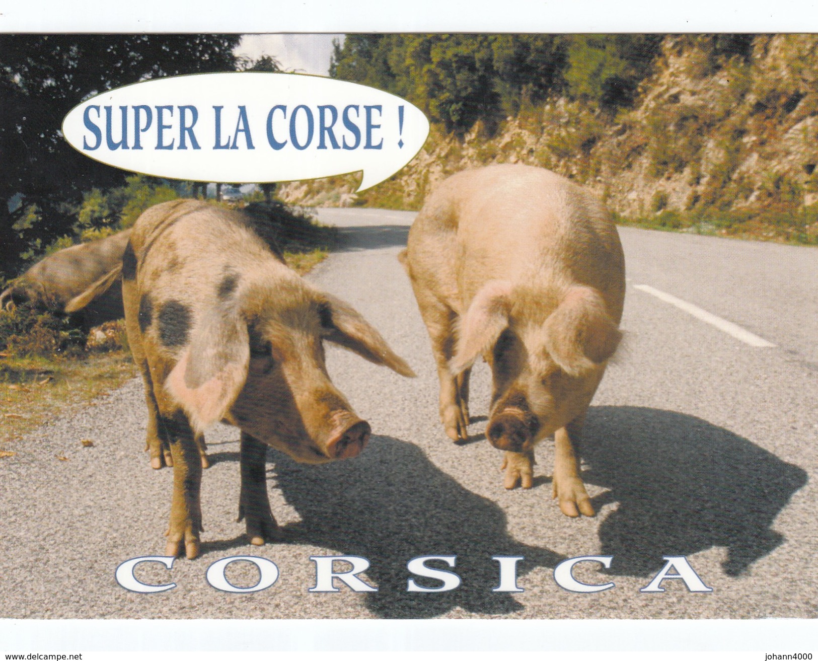 Corsica   Super La Corse - Humor