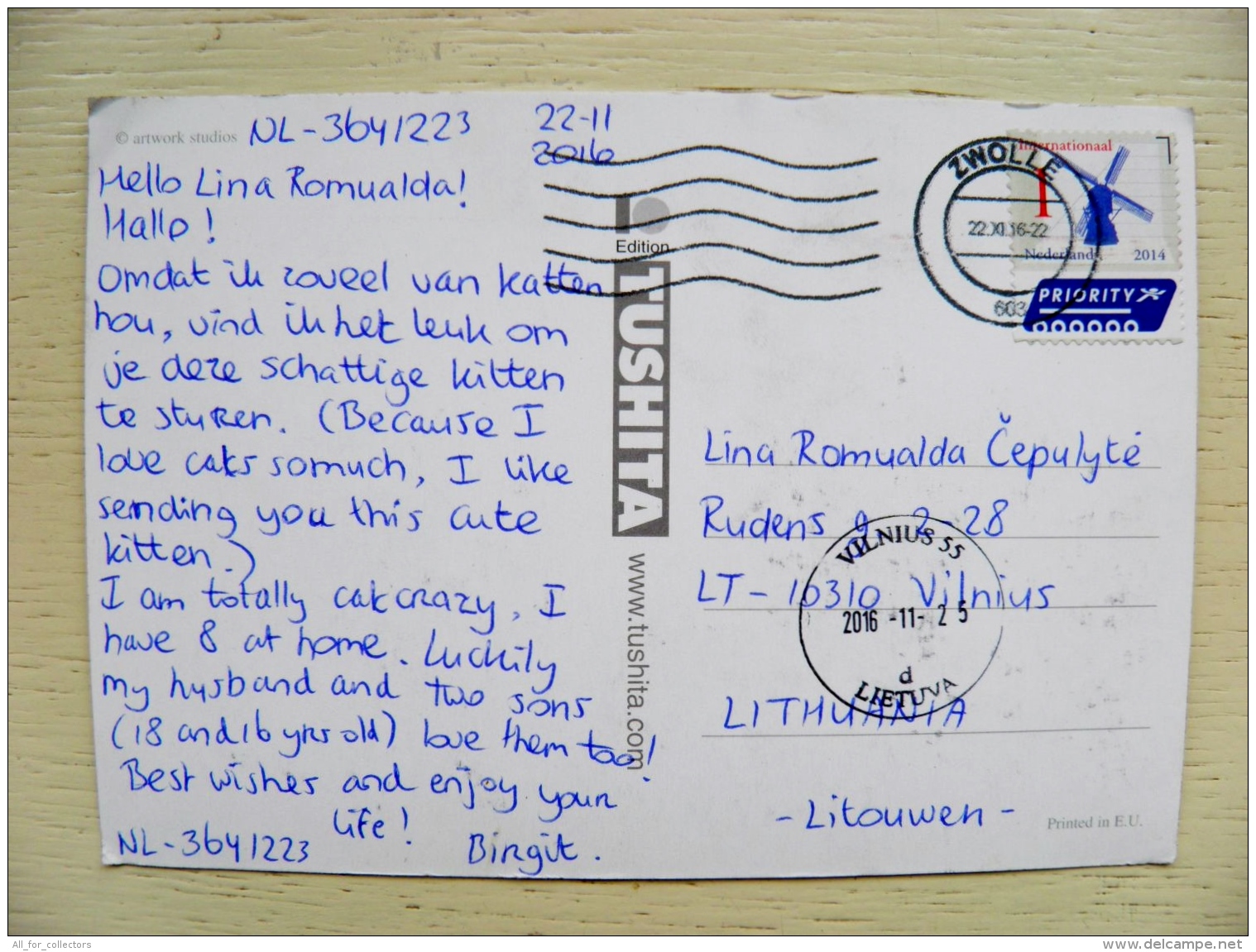 Post Card From Netherlands To Lithuania 2016 Mill Windmill Cat - Lettres & Documents