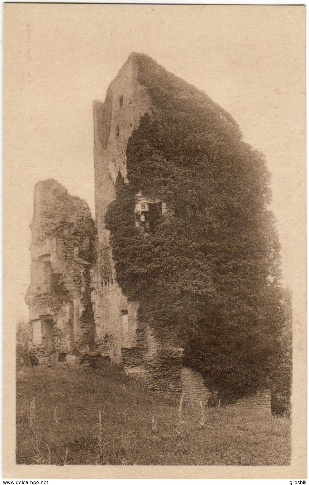 MACHECOUL : Ruines Du Château - Tour De Barbe-Bleue, Côté Intérieur (F. Chapeau, éditeur N° 42) - Machecoul