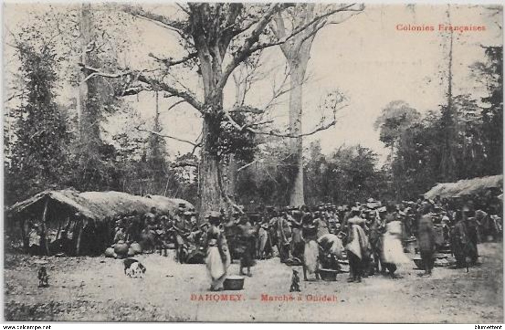 CPA DAHOMEY Afrique Noire Colonies Françaises Non Circulé Marché à Ouidah - Dahomey