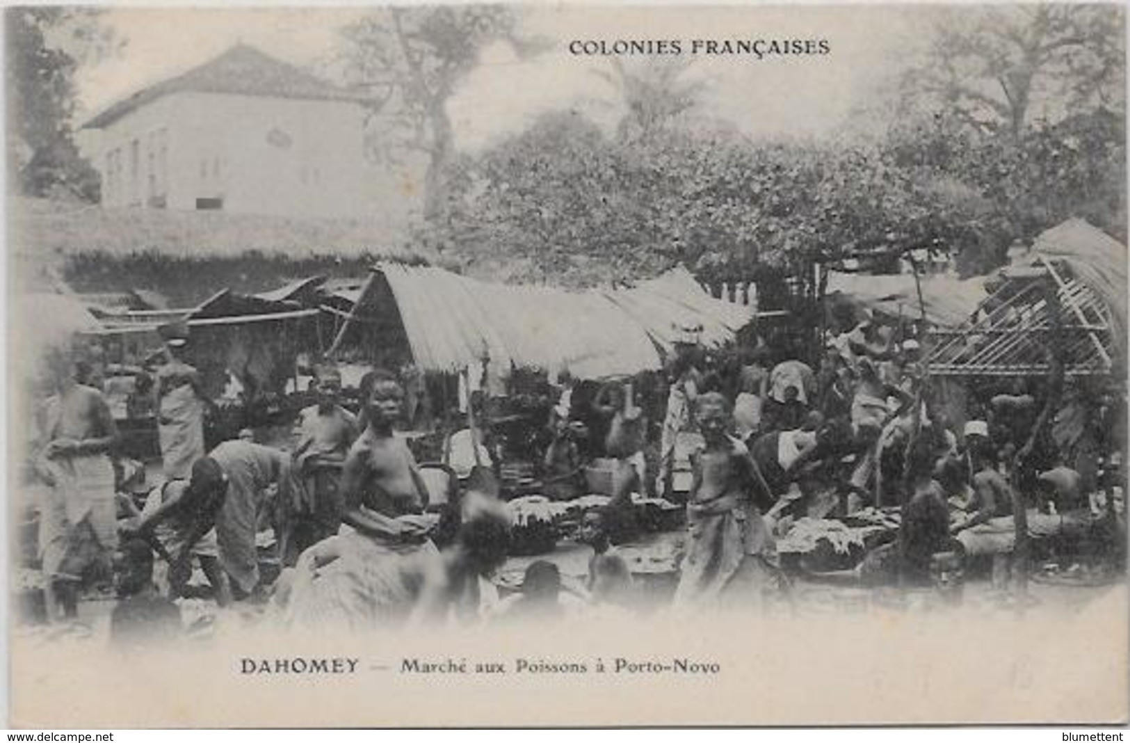 CPA Porto NOVO Afrique Noire Colonies Françaises Non Circulé Marché Aux Poissons - Dahome