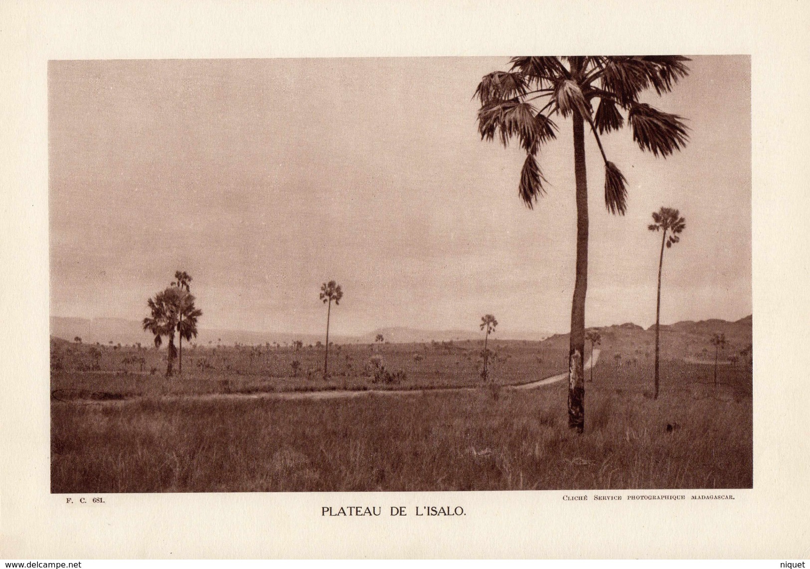 MADAGASCAR, PLATEAU DE L'ISALO, Planche Densité = 200g, Format 20 X 29 Cm, (Serv. Photo. Madagascar) - Géographie