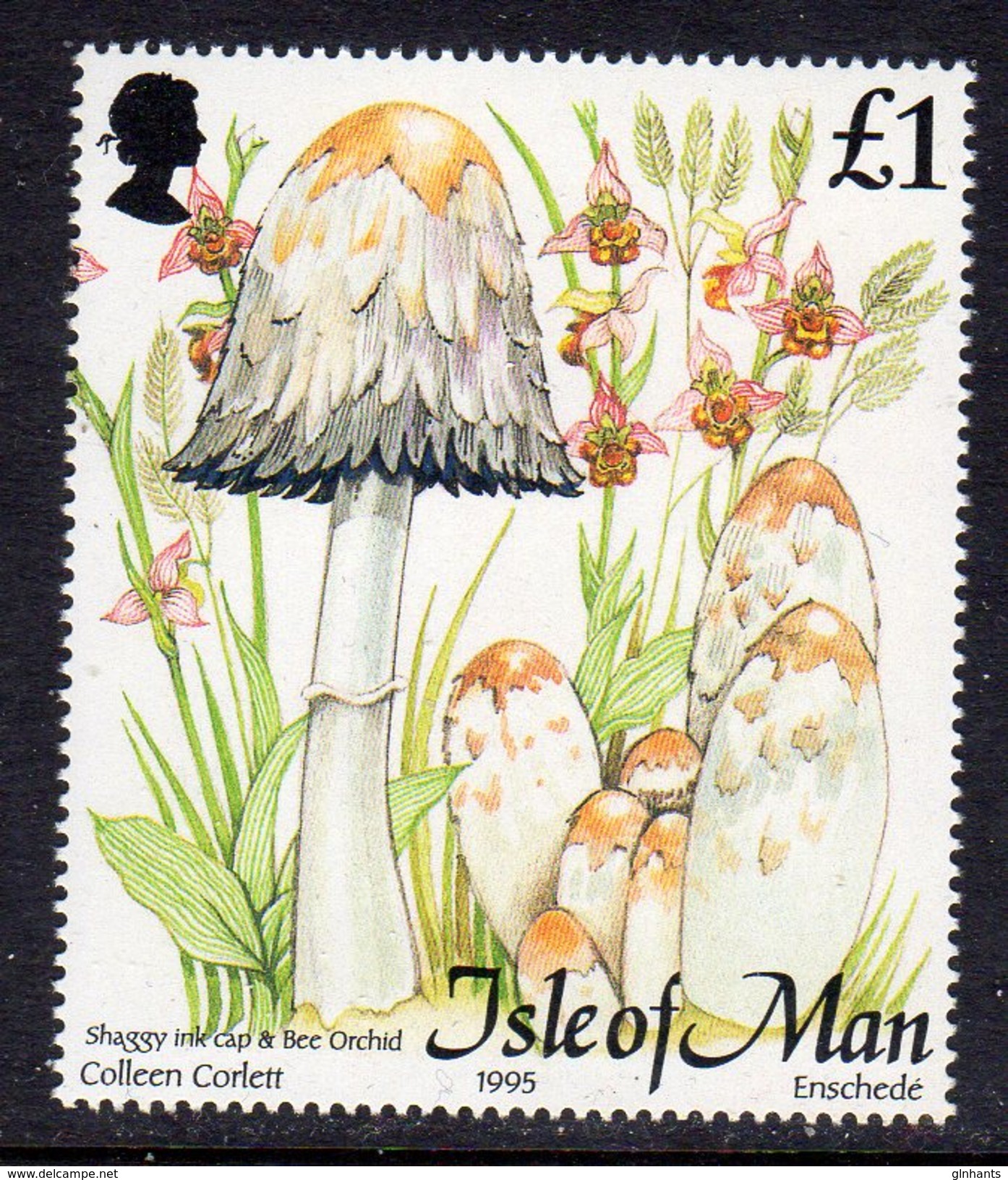 GB ISLE OF MAN IOM - 1995 FUNGI £1 STAMP EX SG MS667 FINE MNH ** - Isle Of Man