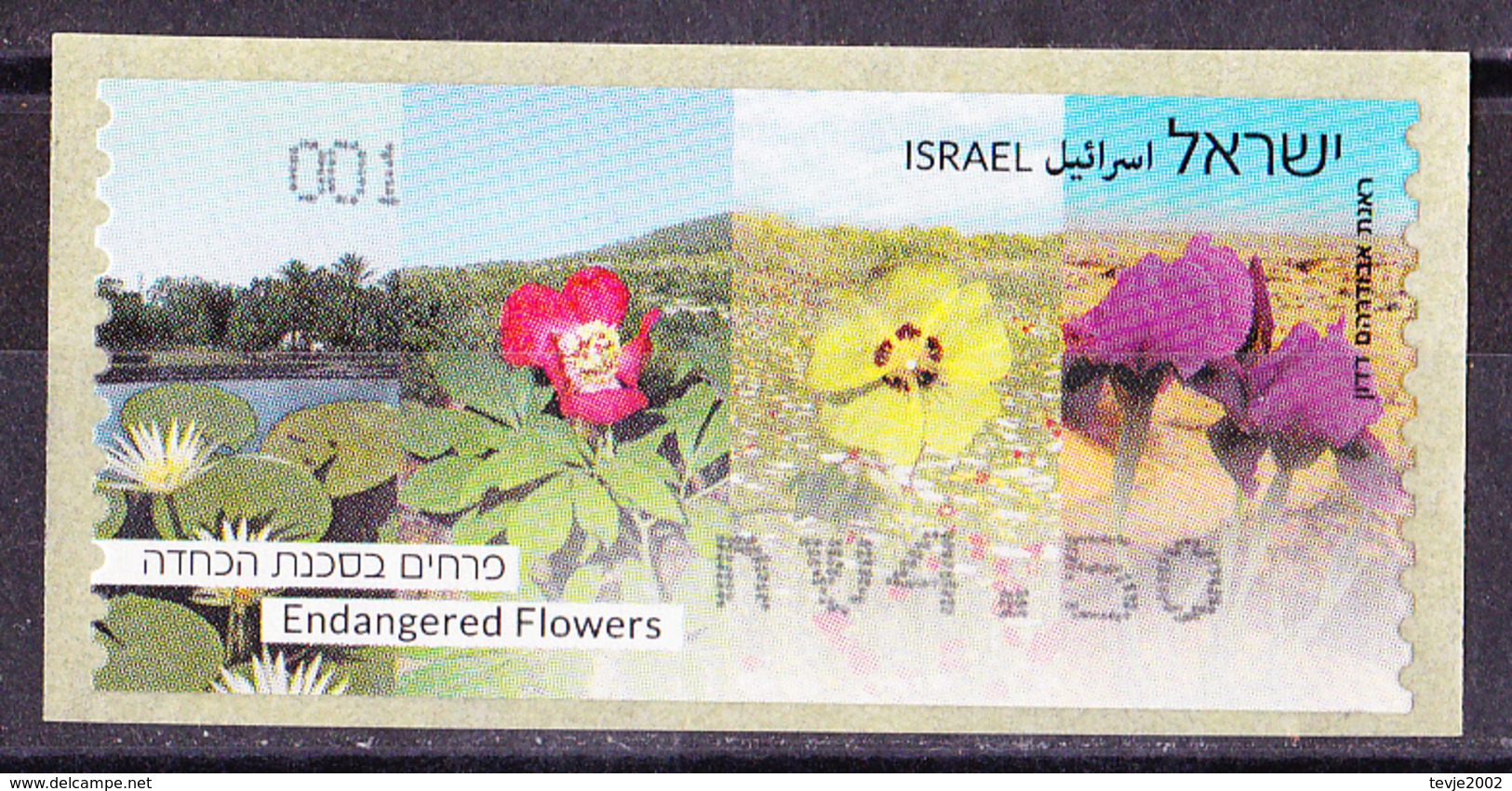 Israel - ATM Mi.Nr. 89 - Postfrisch MNH - Blumen Flowers - Vignettes D'affranchissement (Frama)