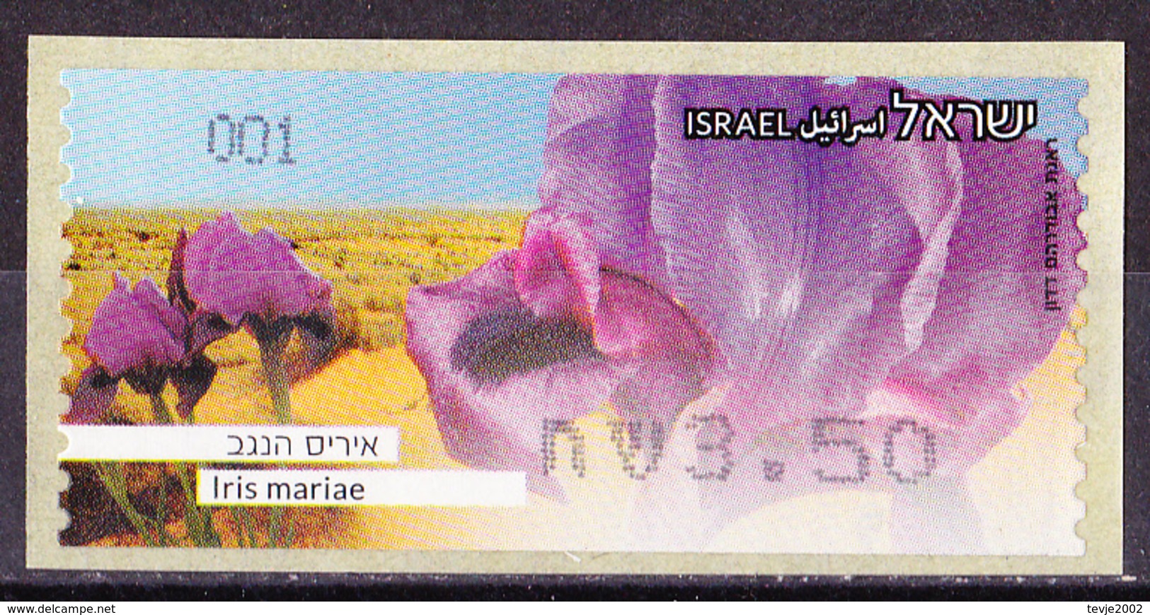 Israel - ATM Mi.Nr. 90 - Postfrisch MNH - Blumen Flowers Iris Schwertlilie - Vignettes D'affranchissement (Frama)