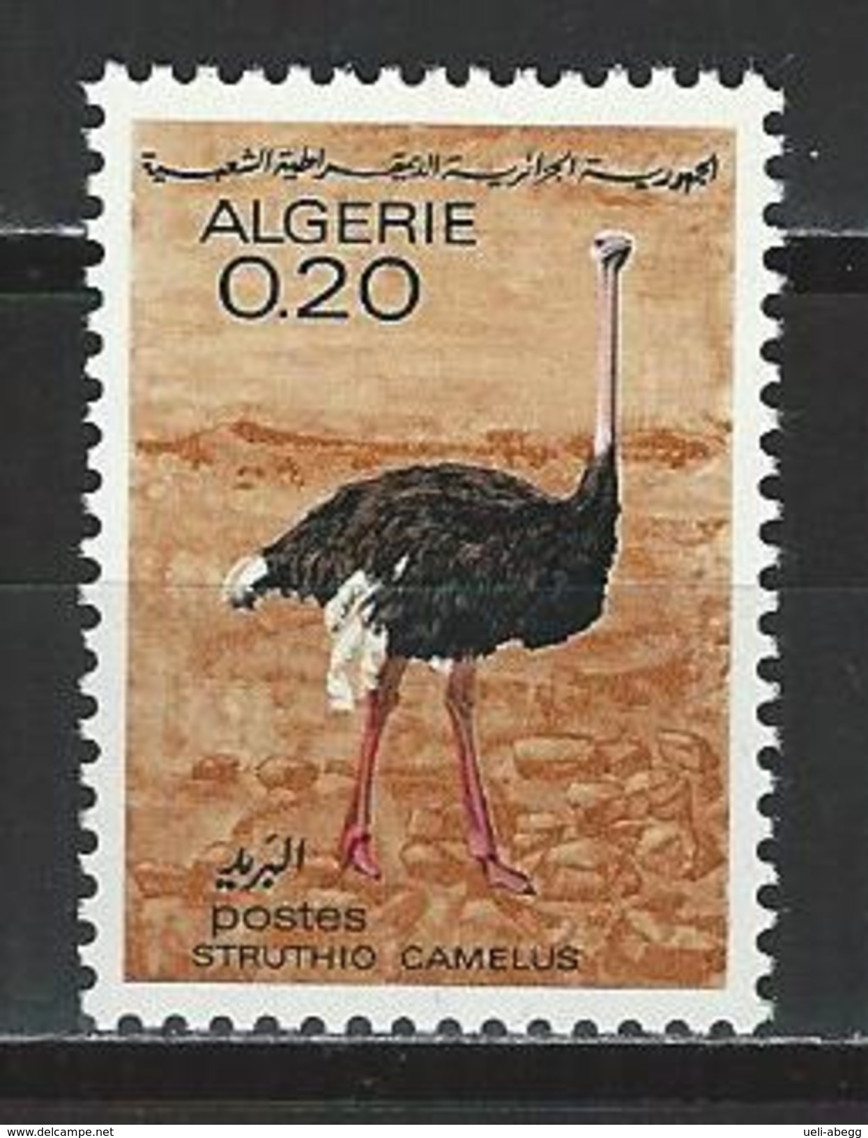 Algerien Mi 480 ** MNH Struthio Camelus - Straussen- Und Laufvögel