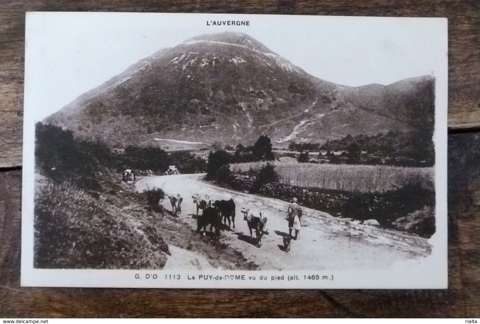 63, LE PUY DE DOME VU DU PIED - Autres & Non Classés