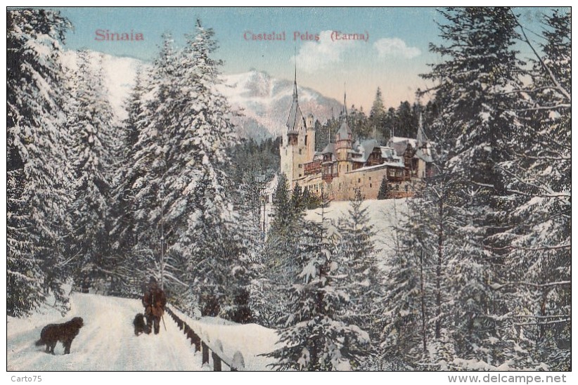 Roumanie - Sinaia - Castelul Peles (Earna) - Chien - Roumanie