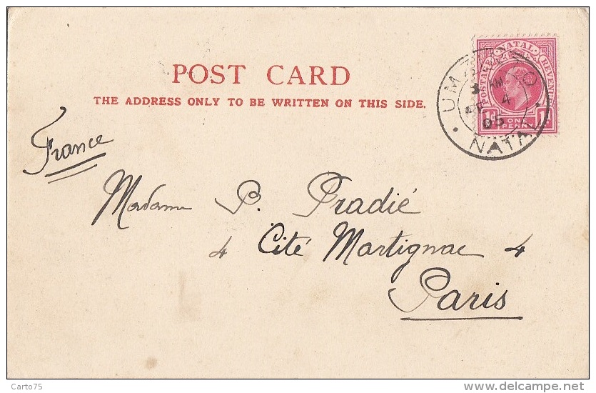 Afrique Du Sud - Enfants Parure Collier - Postmarked Umzinto Natal 1905 - Afrique Du Sud