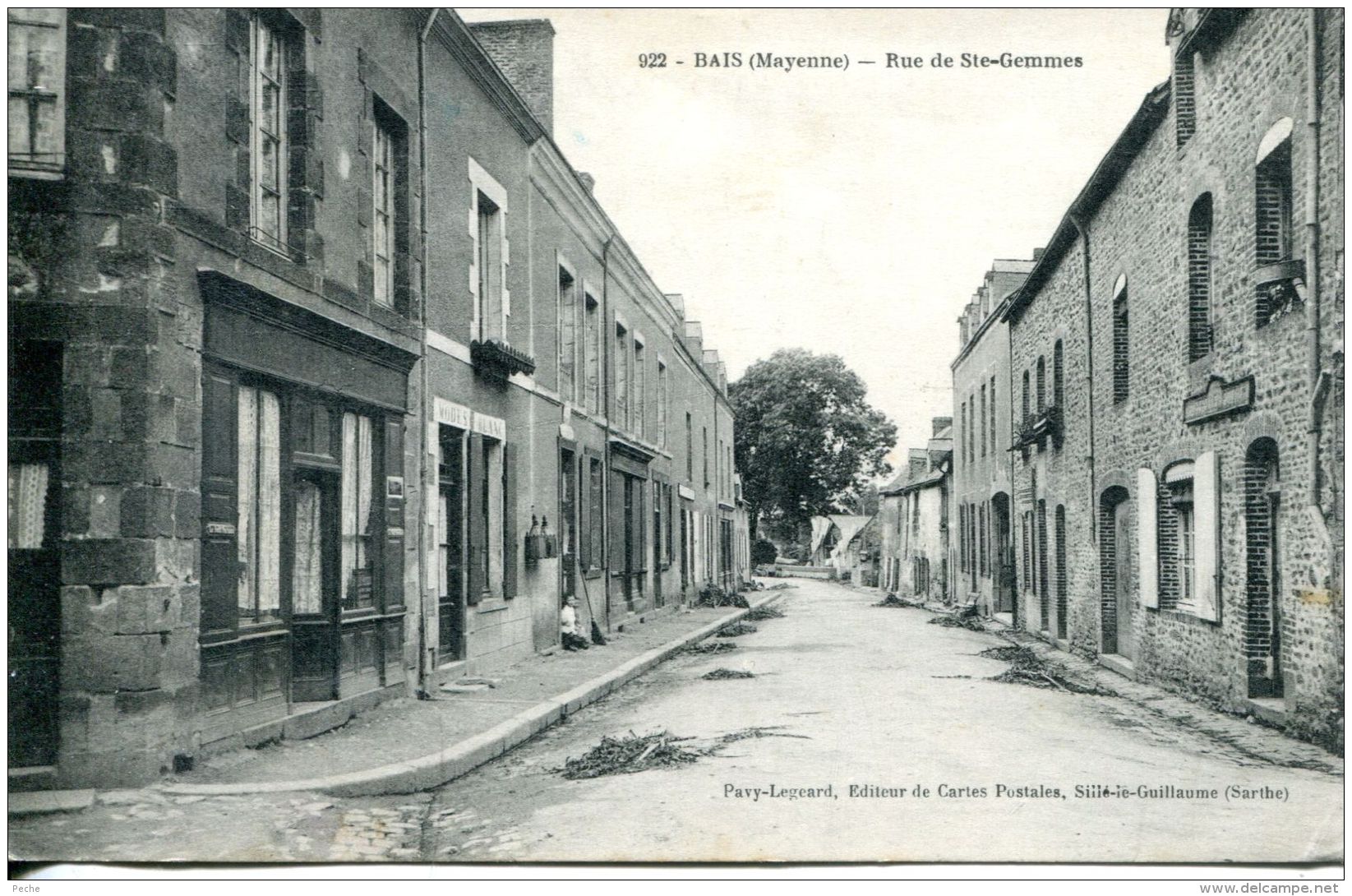 N°33832 -cpa Bais -rue De Ste Gemmes- - Bais