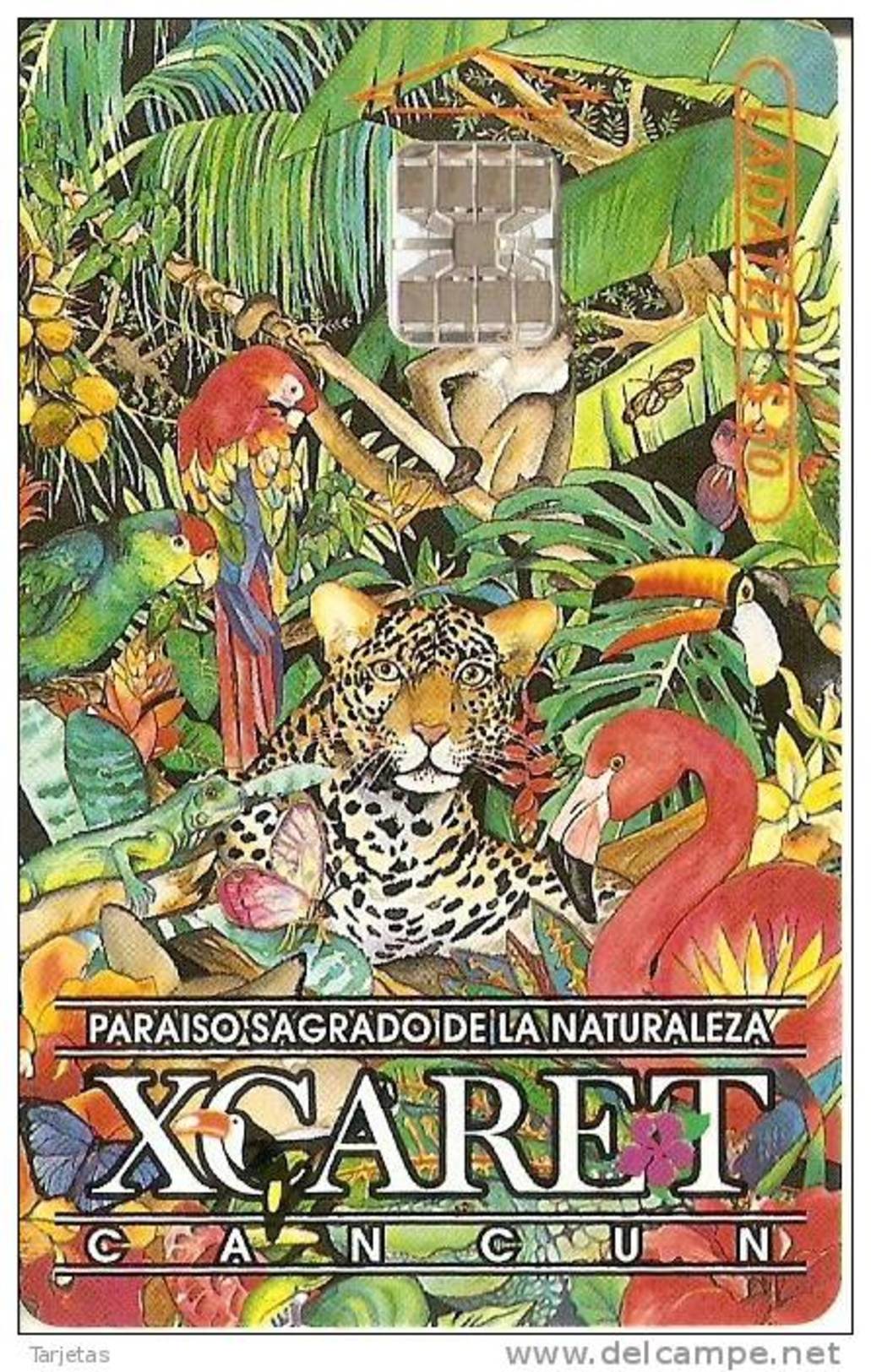 TARJETA DE MEXICO DE MARIPOSA,LOROS,LEOPARDO,ETC (BUTTERFLY) - Parrots
