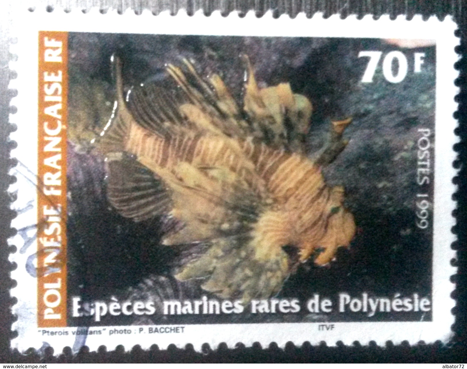 &hearts; Polynésie YT N°580 - Especes Marines Rares De Polynesie - 1999 - Oblitéré - Oblitérés