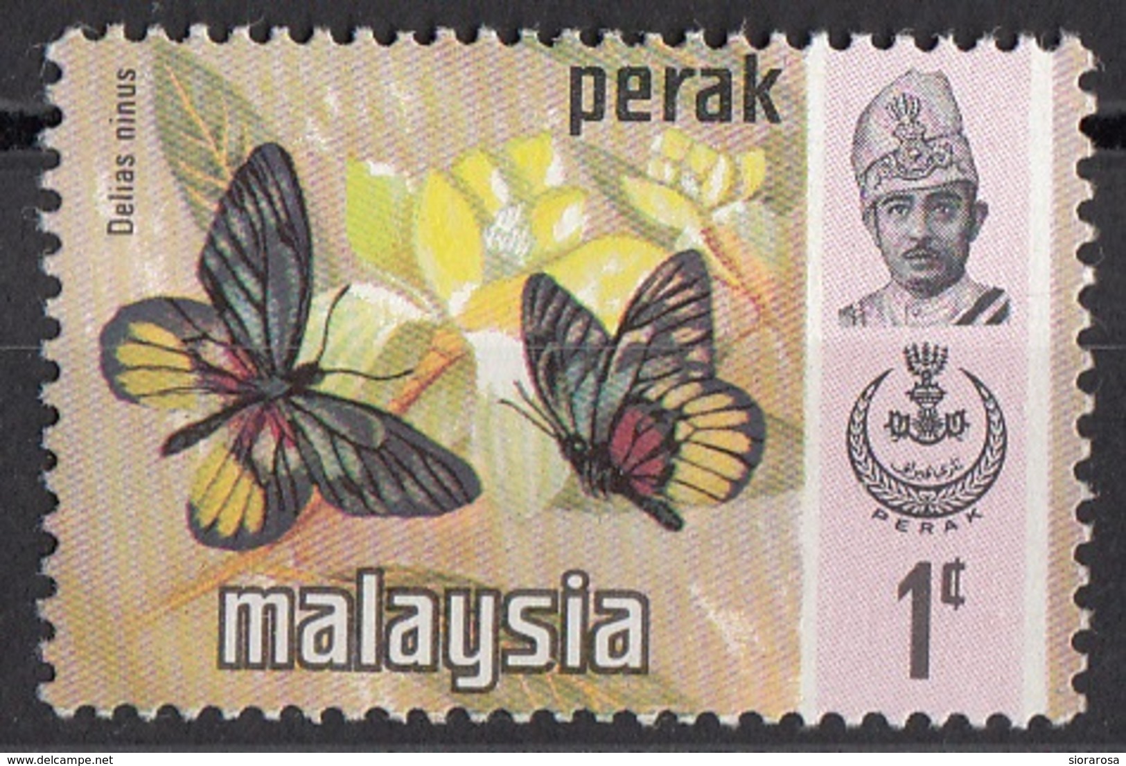 146 Malesia 1971  Perak Farfalle Butterflies Papillons - Delias Minus - Nuovo - Farfalle