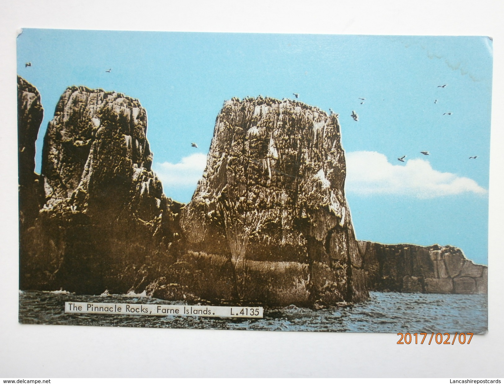 Postcard The Pinnacle Rocks Farne Islands Northumberland My Ref B1704 - Altri & Non Classificati