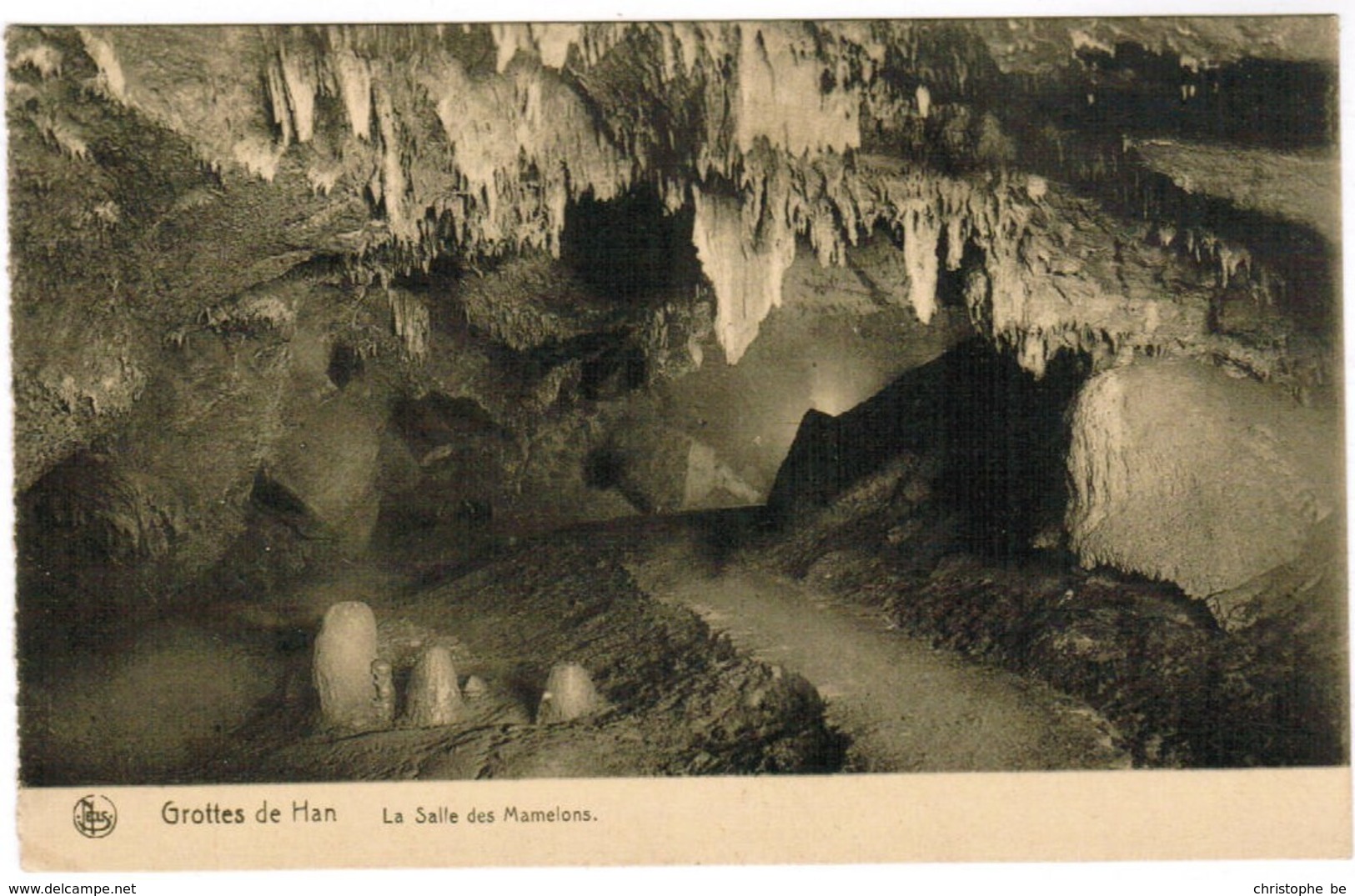 Grottes De Han, La Salle Des Mamelons (pk32683) - Stavelot