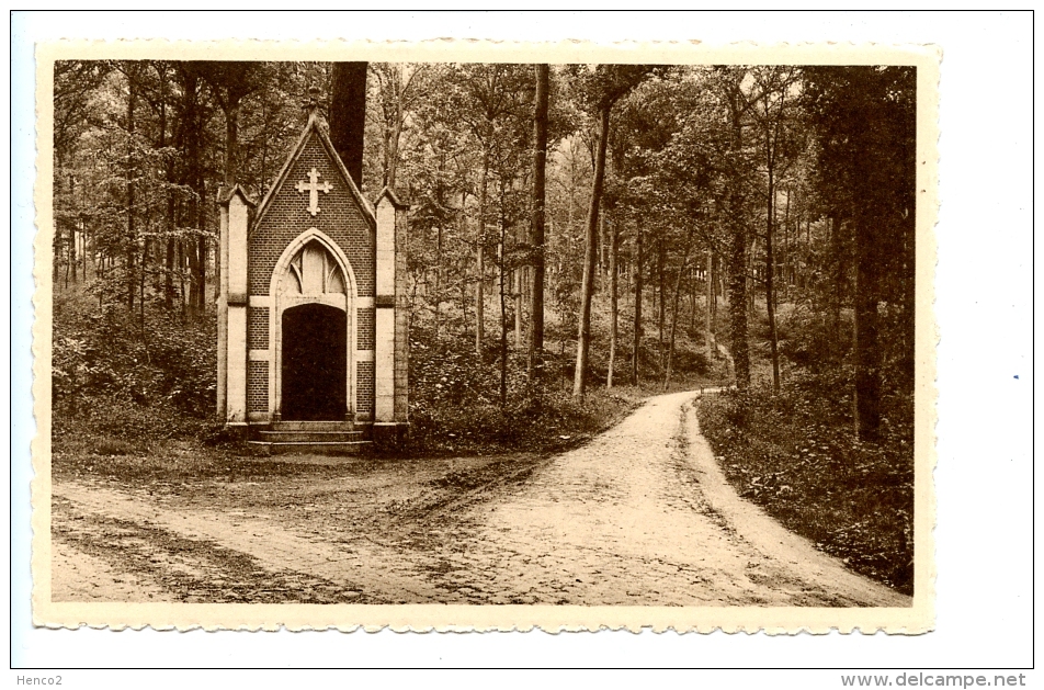 Environs De Grez-Doiceau (Graven) - Un Coin Du Bois De Beausart  / Imprimerie Léon Michaux - Grez-Doiceau