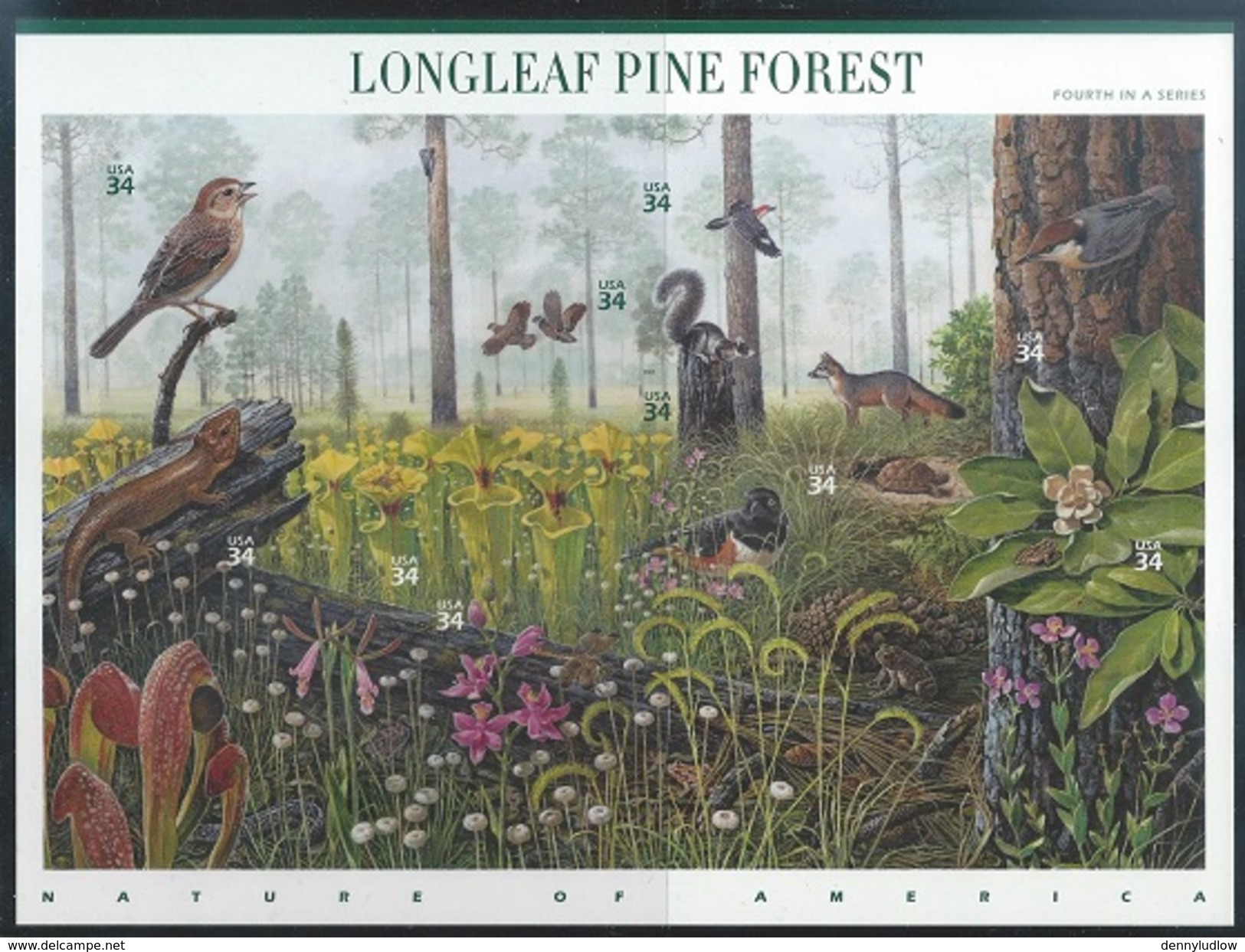 USA   2001-2    Sc#3506 & 3611  34c Prairie & Pine Forest Sheets    MNH** - Nuovi