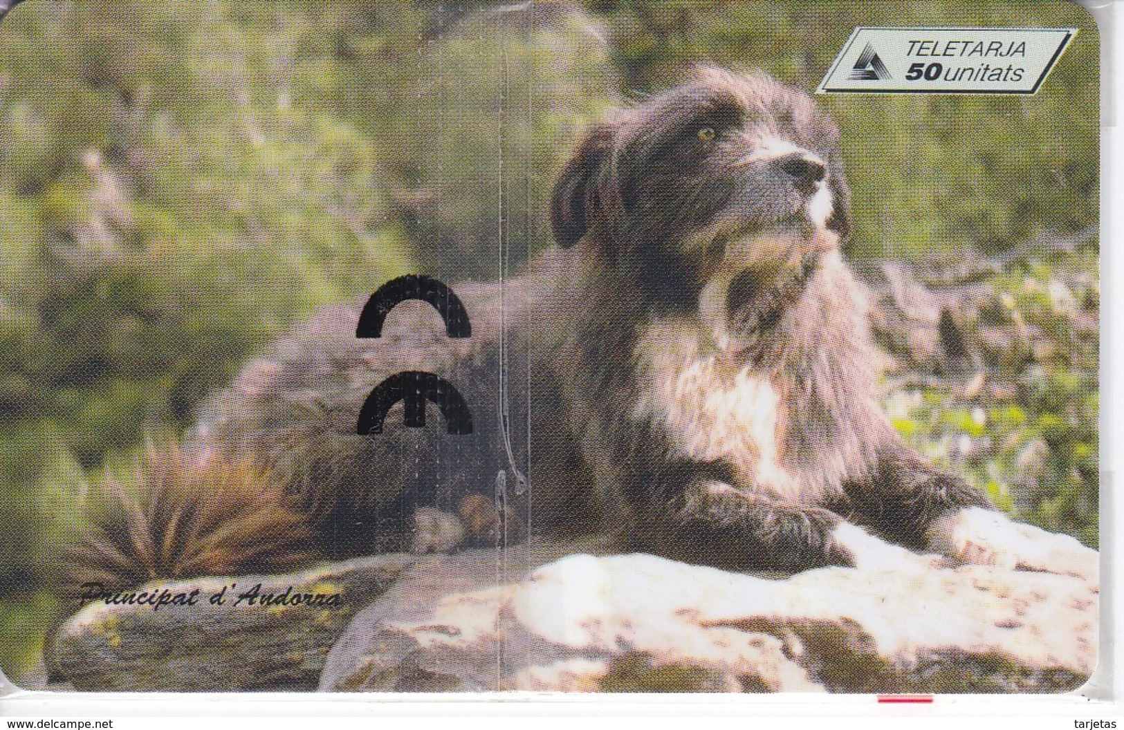 AND-074 TARJETA DE ANDORRA DEL GOS D'ATURA (PERRO-CAN-DOG) NUEVA-MINT - Andorra