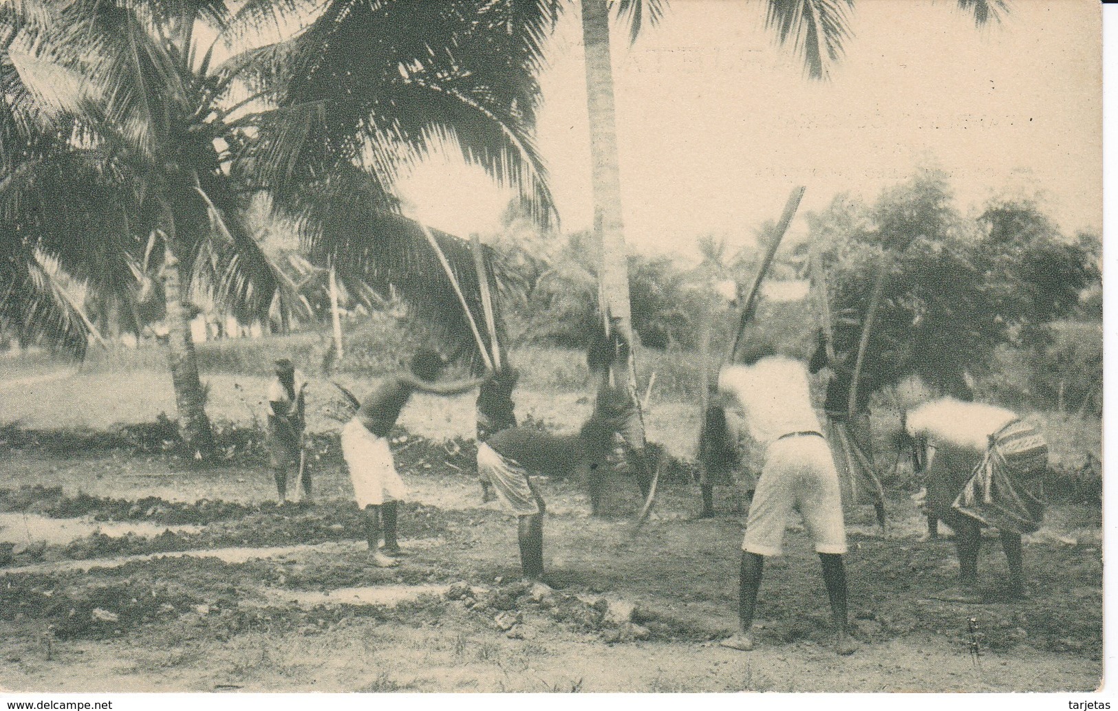 POSTAL DE GUINEA ESPAÑOLA DE INDIGENAS APISONANDO EL CAMINO RECIEN TRAZADO (EXPO IBERO-AMERICANA SEVILLA 1929) - Guinea Ecuatorial