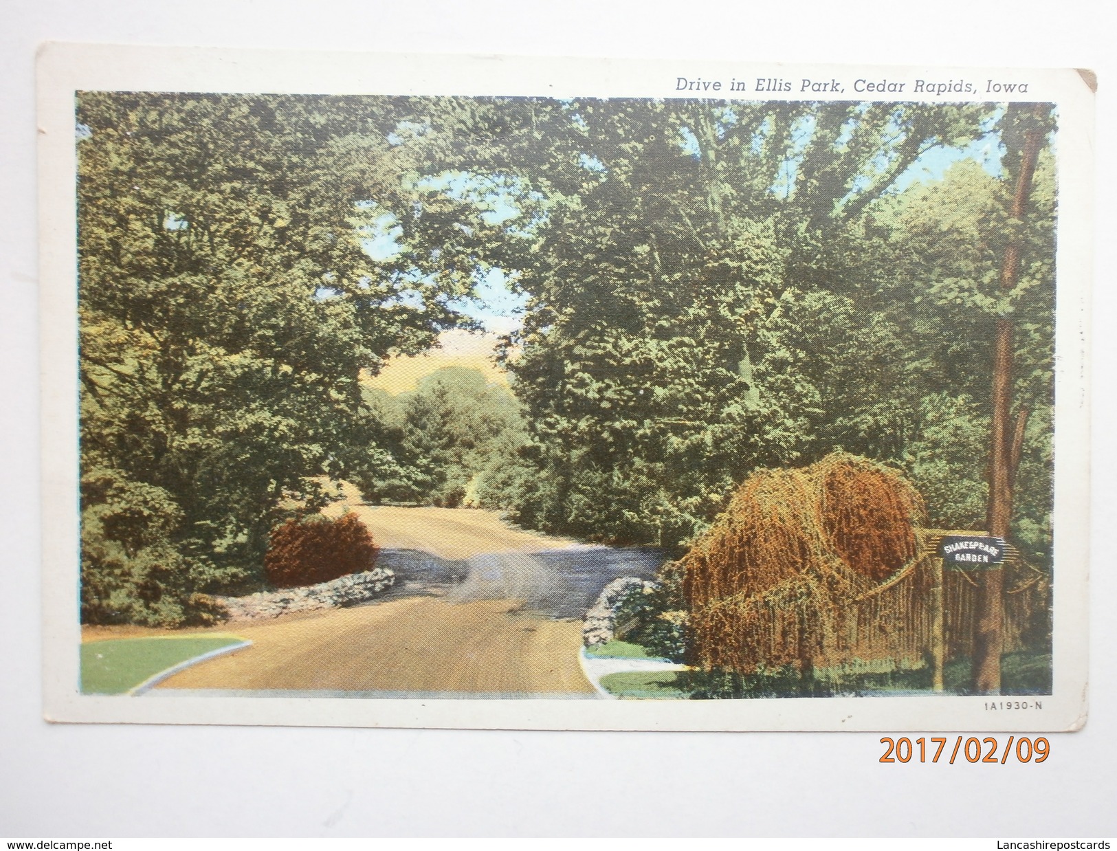 Postcard Drive In Ellis Park Cedar Rapids Iowa My Ref B1733 - Cedar Rapids