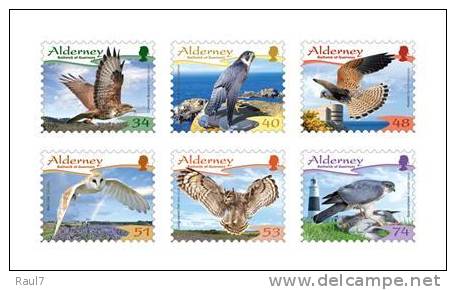 ALDERNEY 2008 - Faune, Oiseaux Rapace -  6v Neufs  (MNH Set) - Alderney