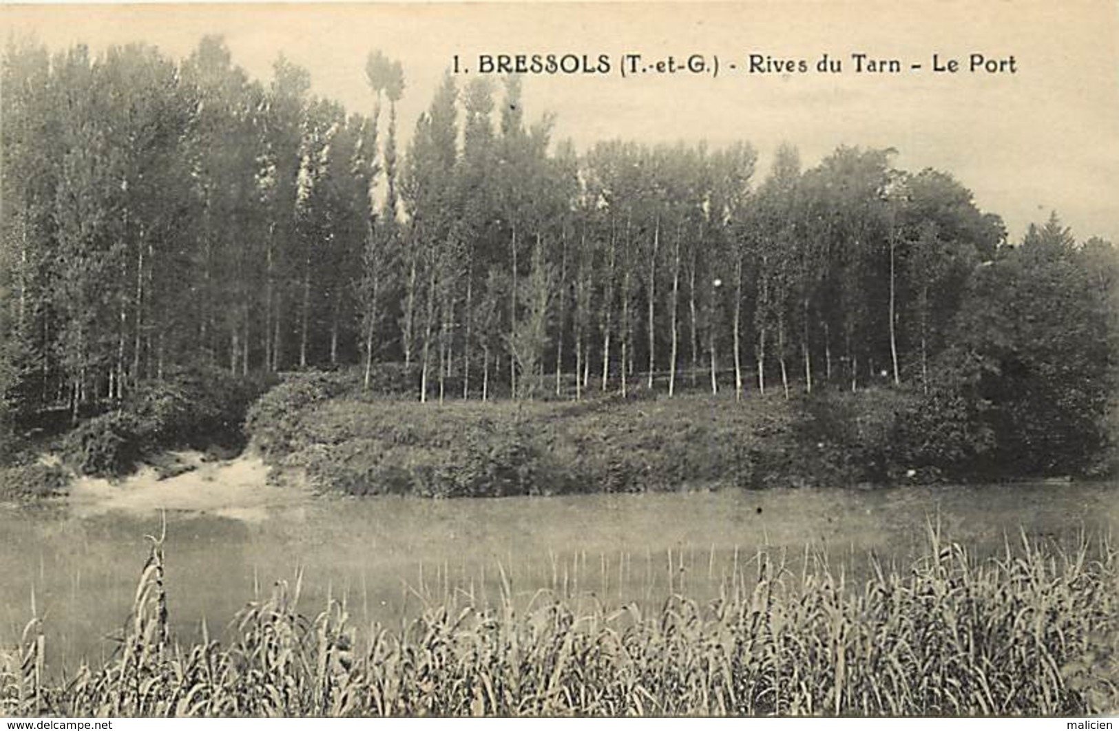 Tarn Et Garonne - Ref- A311 - Bressols - Rives Du Tarn - Le Port - Carte Bon Etat - - Bressols