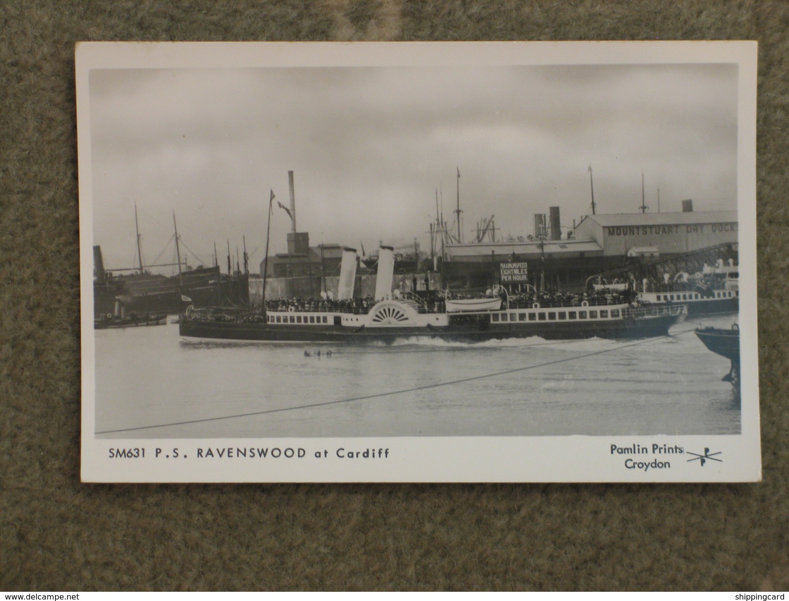 PADDLE STEAMER RAVENSWOOD - PAMLIN PRINT - Dampfer