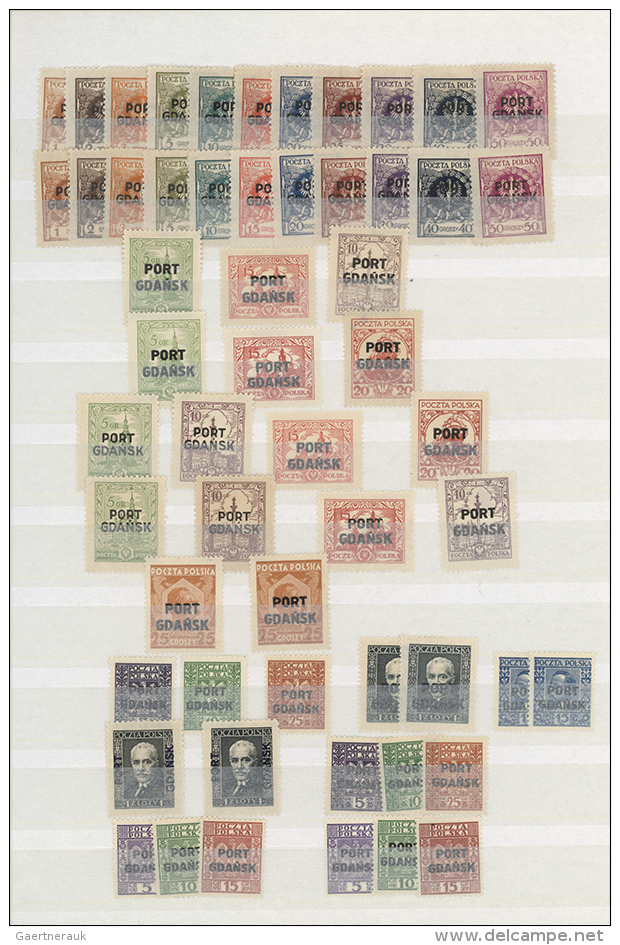 1925/1938, Mint Collection On Stocksheet, Apparently Complete And Many Stamps Twice. (D+) - Autres & Non Classés