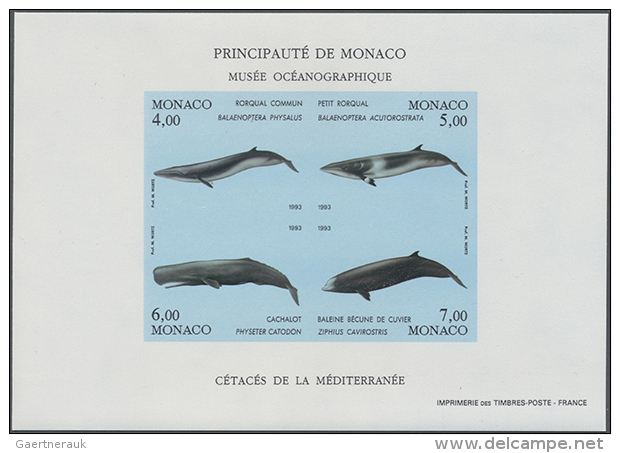 1993, Whales, IMPERFORATE Souvenir Sheet, 20 U/m Copies. Maury BF62 Nd - 4.500,- &euro;. (D) - Autres & Non Classés