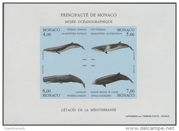 1993, Whales, IMPERFORATE Souvenir Sheet, 23 U/m Copies. Maury BF62 Nd - 5.175,- &euro;. (D) - Autres & Non Classés