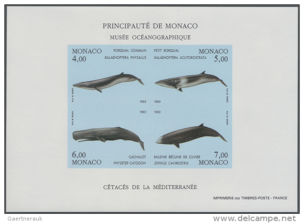 1993, Whales, IMPERFORATE Souvenir Sheet, 23 U/m Copies. Maury BF62 Nd - 5.175,- &euro;. (D) - Autres & Non Classés