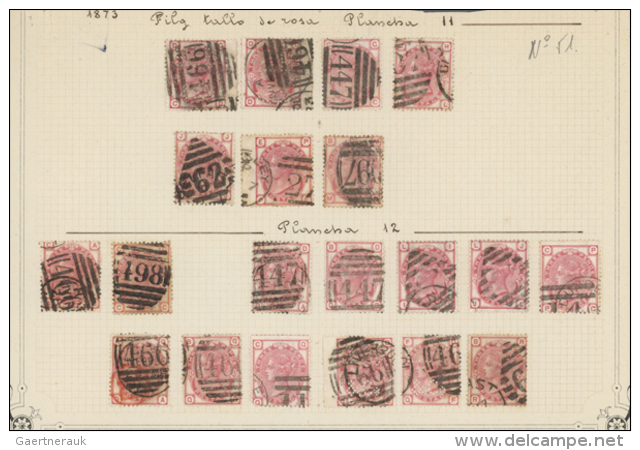 1873/1879, 3d. Rose, Wm Spray Of Rose (SG 143/44), Specialised Assortment Of 64 Stamps. (D) - Autres & Non Classés
