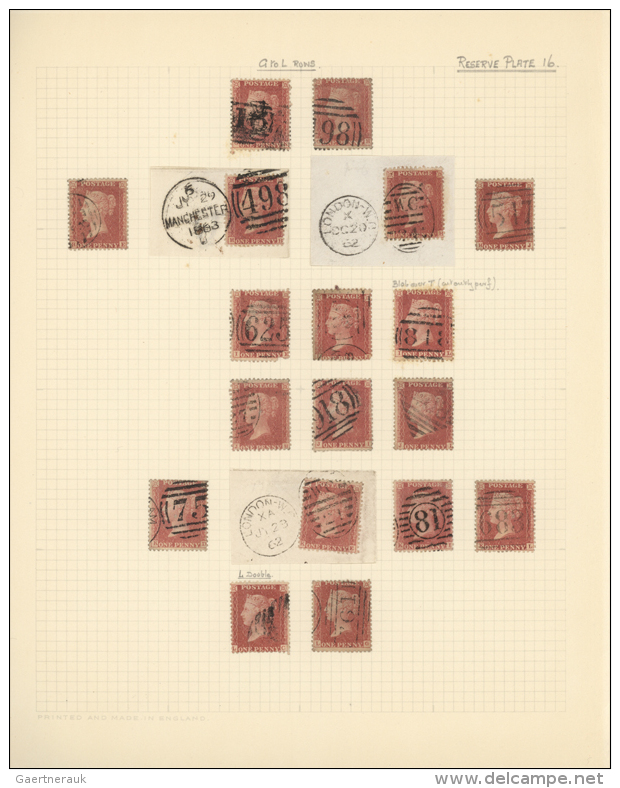 1855/1862 (ca.), Specialised Collection Of Apprx. 580 Stamps Of 1d. Red Perforated, Few Blued Paper But Chiefly No... - Autres & Non Classés