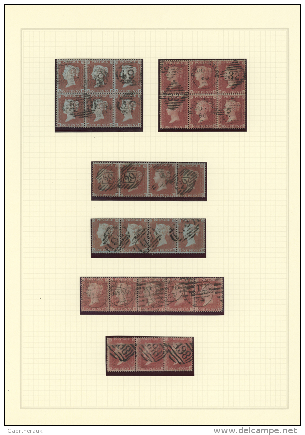 1854/1871, Specialised Collection Of UNITS Of The 1 D. Red Perf. (SG Ex 17/43; Mi. 8, 10, 16), Neatly Arranged On... - Autres & Non Classés