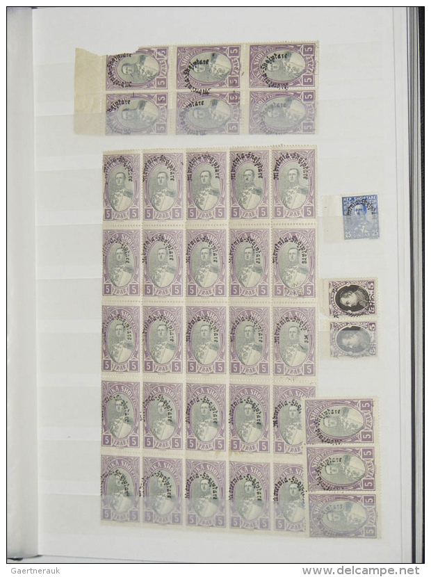 1920/30 (ca.): Collection MNH Sheetparts Of Albania Ca. 1920-1930 In 2 Stockbooks. Contains A.o. (Michel No's): 89... - Albanie