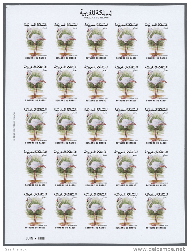 1988, Morocco. Progressive Proofs Set Of Sheets For The Issue BIRDS. The Issue Consists Of 2 Values Showing "Grande... - Autres & Non Classés
