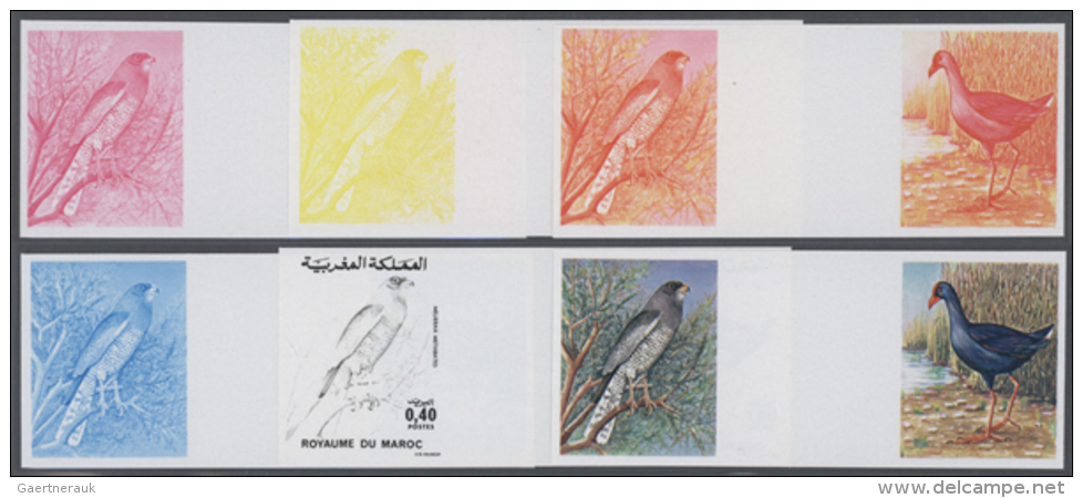 1976, Morocco. Lot Containing Progressive Proofs (6 Phases) For The Nature Protection Issue (2 Stamps) Showing... - Autres & Non Classés
